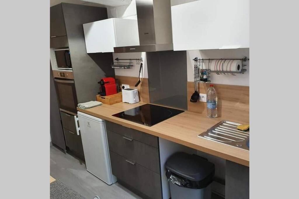 Appartement Avec Jardin Hyper Entre Βαλενσιέν Εξωτερικό φωτογραφία